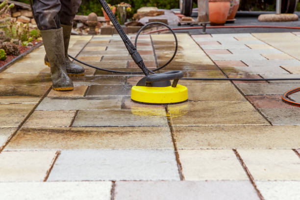 Best Dumpster Area Cleaning  in Beverly Hills, FL